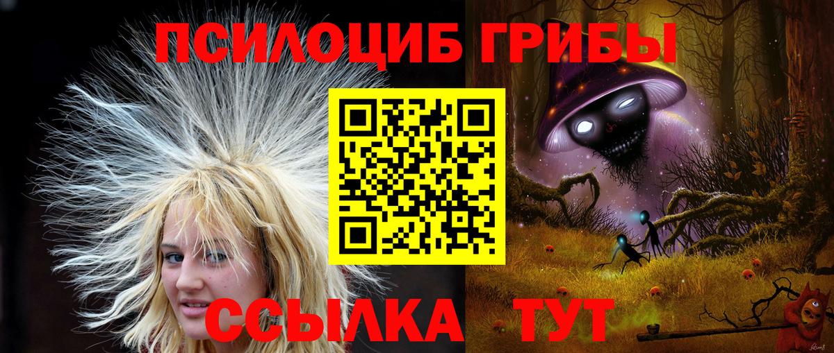 Галлюциногенные грибы Magic Shrooms  купить наркотик  Кохма  Вход с VPN 